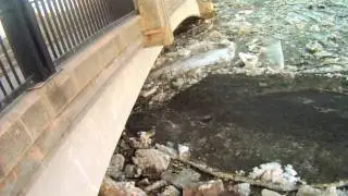 Winnipeg Red River Flood - April 6 - 2011