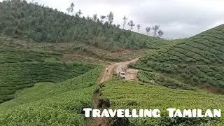 Munnar Private tea Estate