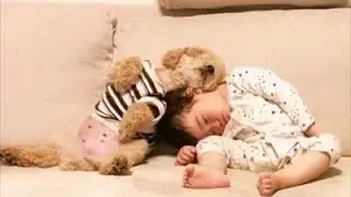 | 9GAG | Baby Sleeping With Poodle In Peace