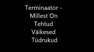 Terminaator - Millest On Tehtud V&auml;ikesed T&uuml;drukud