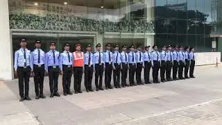 Terrier Security services