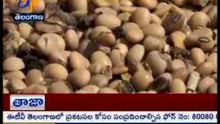 VIKARABAD SOYA BEAN FARMERS LOST BY FAKE SEEDS - TS - జైకిసాన్ - 24th November 2015
