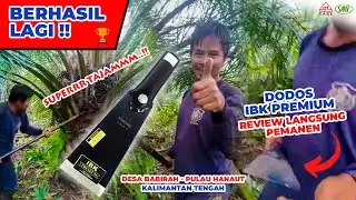 REVIEW REAL DODOS SUPER TAJAM IBK DARI PEMANEN KALIMANTAN TENGAH - DODOS IBK PREMIUM