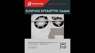 SUNPASS EPDM/PTFE Gasket