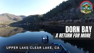 Back to Dorn Bay, Upper Lake, Clear Lake, Ca. I left A fish to find FISH (plural).