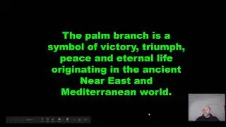 Palm Sunday  The Symbolism of Palms
