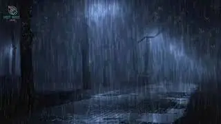Rainy Night Calm 🌙 Comfort Sound