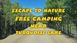 Escape To Nature Free Camping Near Turquoise Lake Colorado