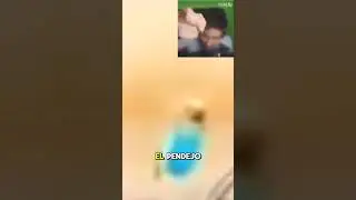 ODIO LOS MINIS EN 