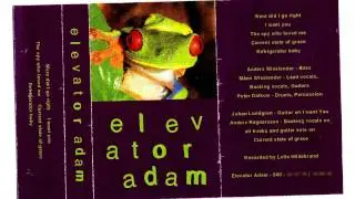 Elevator Adam - Current state of grace (Demo cassette)