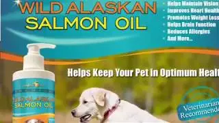 TerraMax Pro Premium Wild Alaskan Salmon Oil for Dogs and Cats