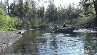 Floating the Situk with Glacier Bear Lodge