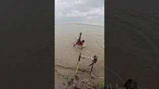World Record Fish Catching #fish #fishing #fishinglife