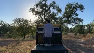 Luce soffusa - Stefano D'Amico [PREVIEW]