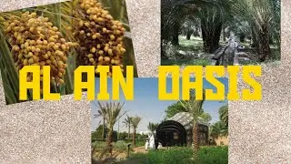 AL AIN OASIS WALKTHROUGH 2020 | MUST VISIT PLACE IN AL AIN | AL AIN OASIS | #ALAINOASIS