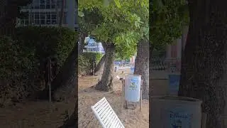 Puerto Rico 🇵🇷  #liketheweather2025 #ppvp #travel #360video #2025shorts #beach2025