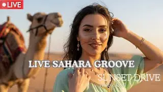 HABIBI Arabic EDM 24/7 🔴 LIVE | Nonstop Chill & Drive Vibes