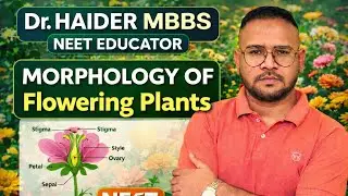 L-01 MORPHOLOGY OF PLANT #BIOLOGY  #neetexam #neet2026 #biology class12   #chemistry neetcoaching