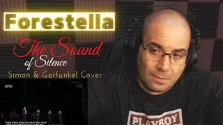 포레스텔라 Forestella Reaction - Simon & Garfunkel (The Sound Of Silence) Shakes - P Reacts