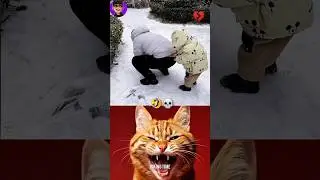 Unexpected Ice Prank 😂 | Father&ndash;Son Funny Moment&rdquo;💀🤣 #shorts #cat #funny #trending