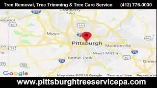 Pittsburgh Tree Service PA