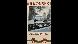 Julkonsert i Alseda Kyrka 2025 - Alleluja