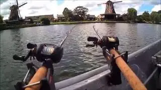 Savage Gear 3D Line Thru Roach Big Fish