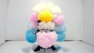 Magic Crystal Tree Growing Set - Time-lapse - 24 Hours in 1 Minute 34 Seconds