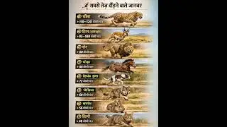 #gk #speed #animals #new