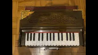 Harmonio Indiano feito na terra de Krishna! Vrindavan!