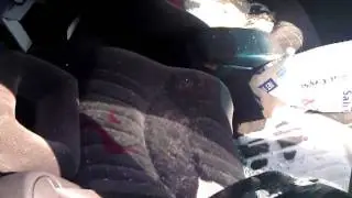 Garies street car massacre