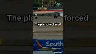 Southwest Airlines Plane Hit by Bullet Near Cockpit at Dallas Airport #airport #trump2024 #fypage