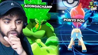 AOONGA THE NEW WARRIOR (WBE VS MOET)