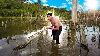 LARGADOS E PERDIDOS - TENTANDO CONSEGUIR ALIMENTO NO MANGUEZAL