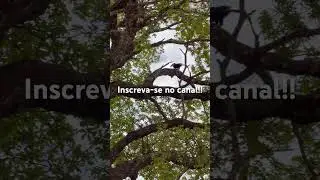 Visita de Hoje!!#ro&ccedil;a #tucano #vidanocampo #arquitetura #imoveisvenda #corretagem #casa #cavalo