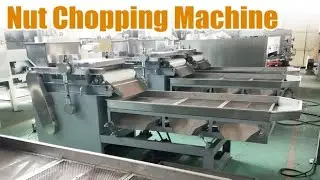 Nut Chopping Machine for Peanut & Almond Processing Contact:+8617703863868