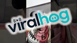 Flight Has Emergency Landing in Iceland Leaving Passengers Confused || ViralHog
