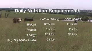 Cow-Calf Corner: Nutrition Requirements (2/28/15)