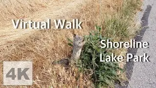 [4K] Walk with me - Shoreline Lake Park - Mountain View, California