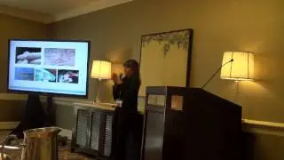 Graft Placement Lecture for Hair Transplant by Emina Karamanovski