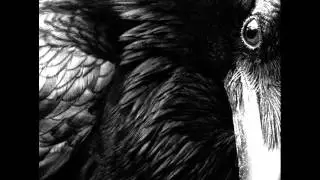 Big Black Bird - Time Masheen
