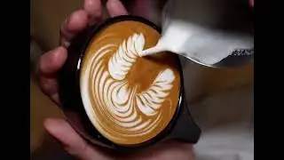 Latte Art ▪︎Flying Swan▪︎