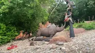 Magic Kingdom-jungle cruise