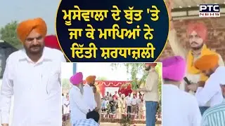 Sidhu Moose wala ਦੇ ਬੁੱਤ 'ਤੇ ਜਾ ਕੇ ਮਾਪਿਆਂ ਨੇ ਦਿੱਤੀ ਸ਼ਰਧਾਜ਼ਲੀ | mansa | balkaur singh | moose wala