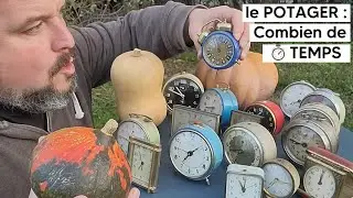 Combien de TEMPS ça prend de faire le POTAGER ? ⏱️📈