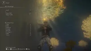 Night's Cavalry (Glaive) - Zweihander (rl1/+0) - Hitless, no HUD, medium roll, no buffs, no infusion