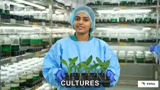 TCLedger: The AI-Driven Immutable App for Automated Tissue Culture Traceability.