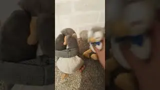 I can run faster with no wind resistance! PENGUIN EDITION