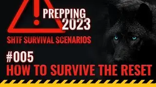 💥 How to Survive the Economic Collapse 2025 - SHTF Scenarios