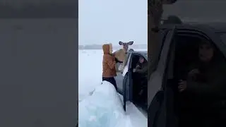 Frozen Mother Deer and Newborn Fawn Rescue